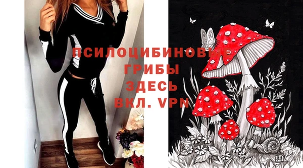 молекула духа Армянск