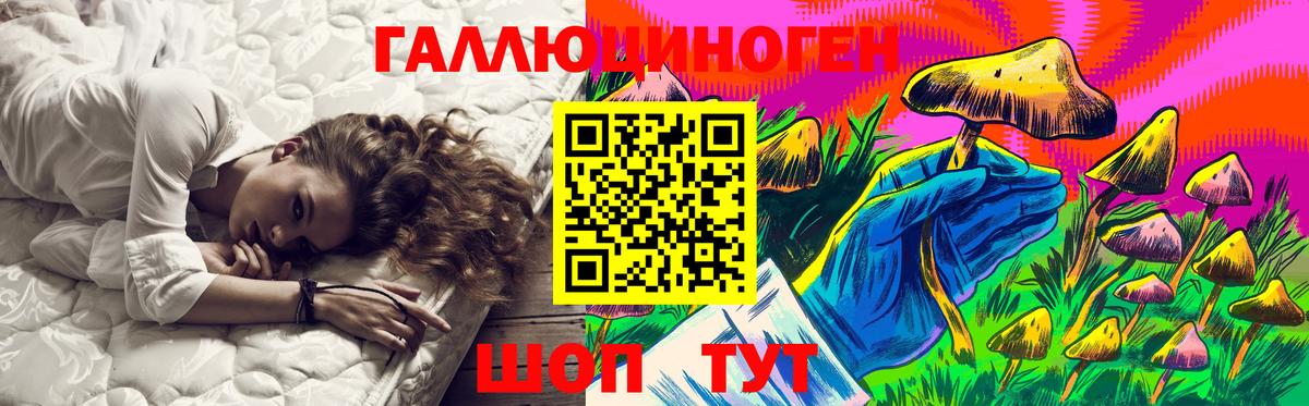 Волхов  Галлюциногенные грибы прущие грибы  Вход с VPN 